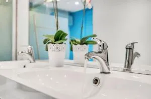 Les couleurs de Sillery - Scott