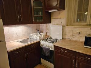 Cozy Downtown Apartment