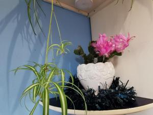 Entire house Sheffield s10booking