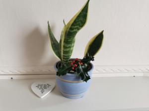 Entire house Sheffield s10booking