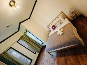 New! Golden Retriever walk to the falls