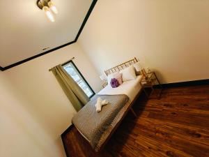 New! Golden Retriever walk to the falls