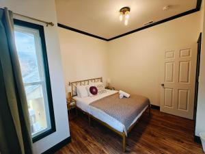 New! Golden Retriever walk to the falls