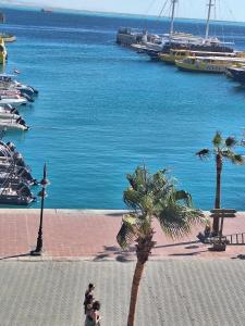 new marina . your best choice for family