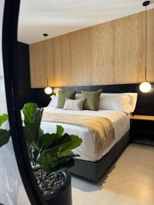 Hotel Aló Degollado