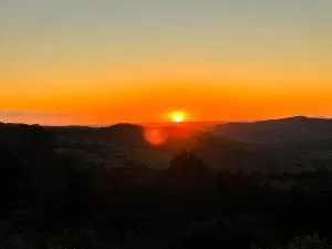 Matakana view - 马塔卡纳