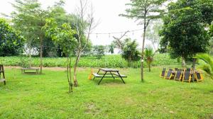 Meeto Camping Hồ Trị An