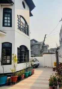 Snowflake Delight - Durgjan