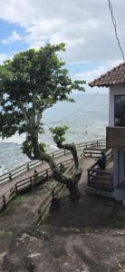 Pôr do Sol de Caiobá