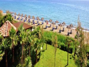 Nice apartment by a vast beach on Corsica