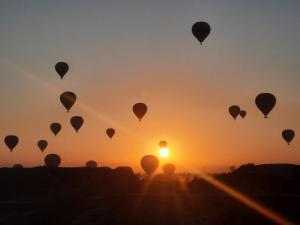 The royal flat for rent