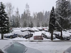 FLORA Apartment Hotel STUDIO 411