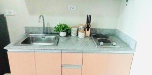 SkyHaven View Palladium