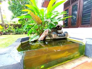 Mashi Home Stay