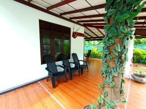 Mashi Home Stay