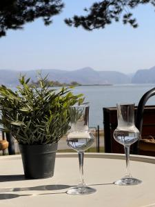 Borova Bajka - Peace & Privacy by the Danube