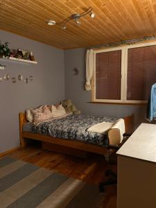 Cozy house in the Arctic Circle