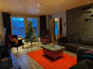 Cozy house in the Arctic Circle