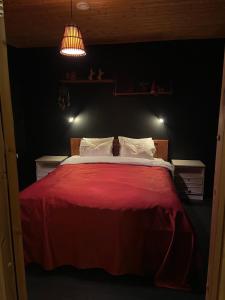 Cozy house in the Arctic Circle