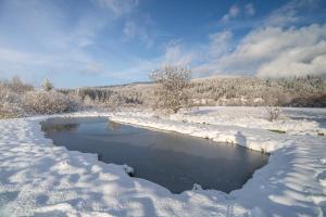 Chalets Chalet chevreuils du beillard : photos des chambres