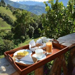 Glamping Hosteria Las Orquideas