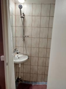 Papiniidu südames