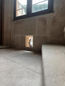 Villas AUBERGE-HOSTELS a TARASCON : photos des chambres