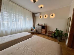 Historic Old Town with 4K Cinema