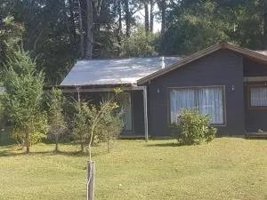 Futroe Villarrica - Collico