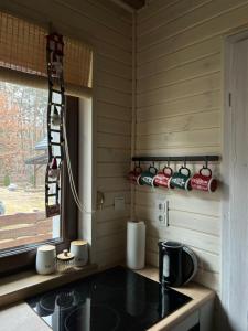 Willa pod Dębami domek nad Zalewem Chańcza z balią na wyłączność