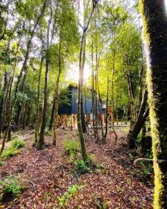 Cabañas Los Glaciares - نلتوما