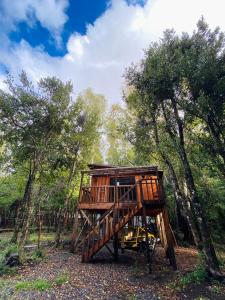 Cabañas Los Glaciares
