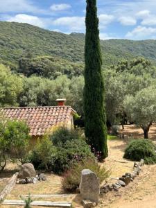 Auberges Auberge U Sirenu : photos des chambres