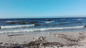 Sobie-Wyspa Domki pod Brzozami