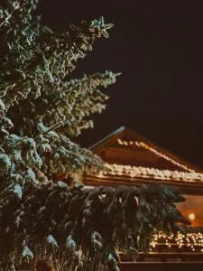 Villa "Pahulja" - Vlašić - 弗拉西克