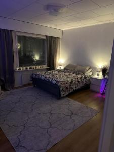 House close to santa claus village