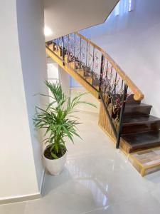 Duplex on Lliberty Square