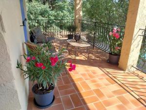 Appartements Villa Maria App. : photos des chambres