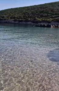 Villa Symphony apartments Kotor Tivat