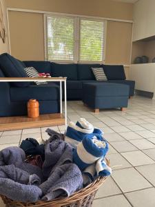 Tamandaré pé na areia