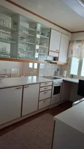 Omakotitalo - 索丹屈莱