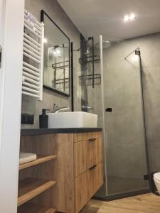 Komfortowy apartament dla 7 osób CH Arena, prywatny parking