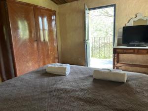 Auberges Auberge U Sirenu : photos des chambres