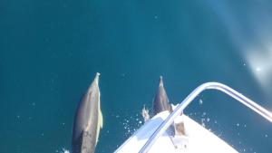 Maisons de vacances Audierne, Finistere, Maison Vue Mer : photos des chambres