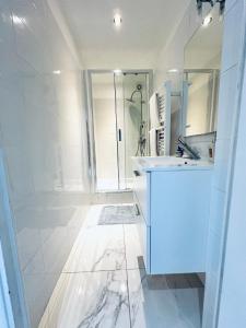 Grand appartement centre piéton Cannes