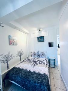 Grand appartement centre piéton Cannes