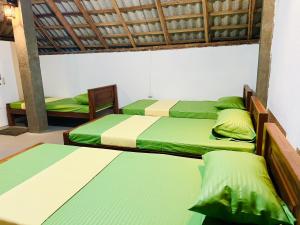 YALA Turtle Bay