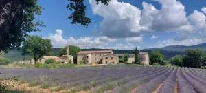 Le Cosy Luberon - Gite provençal avec piscine - Carniol