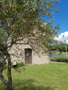 Appartements Le Cosy Luberon - Gite provencal avec piscine : photos des chambres