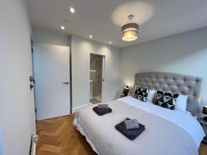 Two bedroom luxury apartment